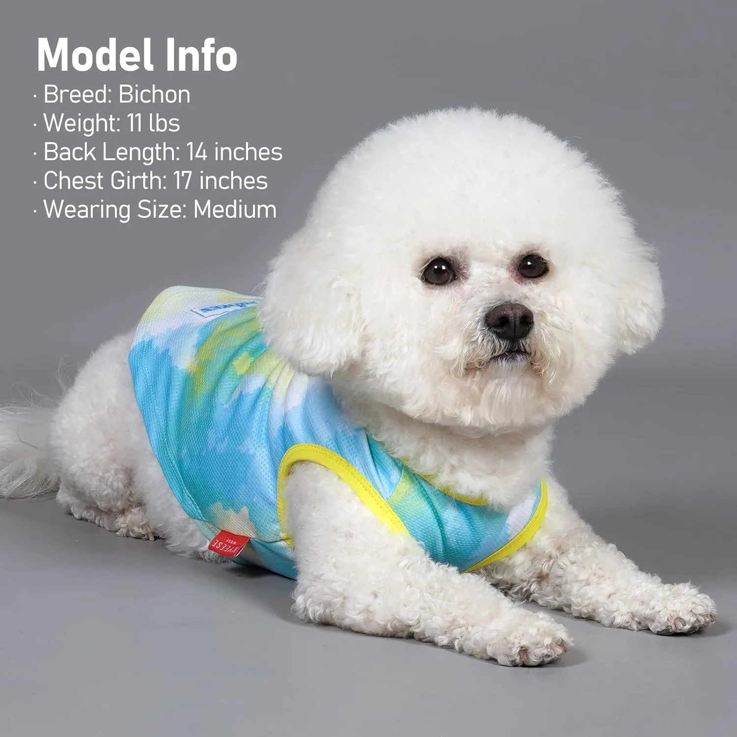 KYEESE 2 Pack Dog Cooling Shirts for Medium Dogs Breathable Instant Cooling Dog Vest for Summer Lightweight Sleeveless Vest Quick Dry Cooling Shirts Great for Hunting, Training, Camping